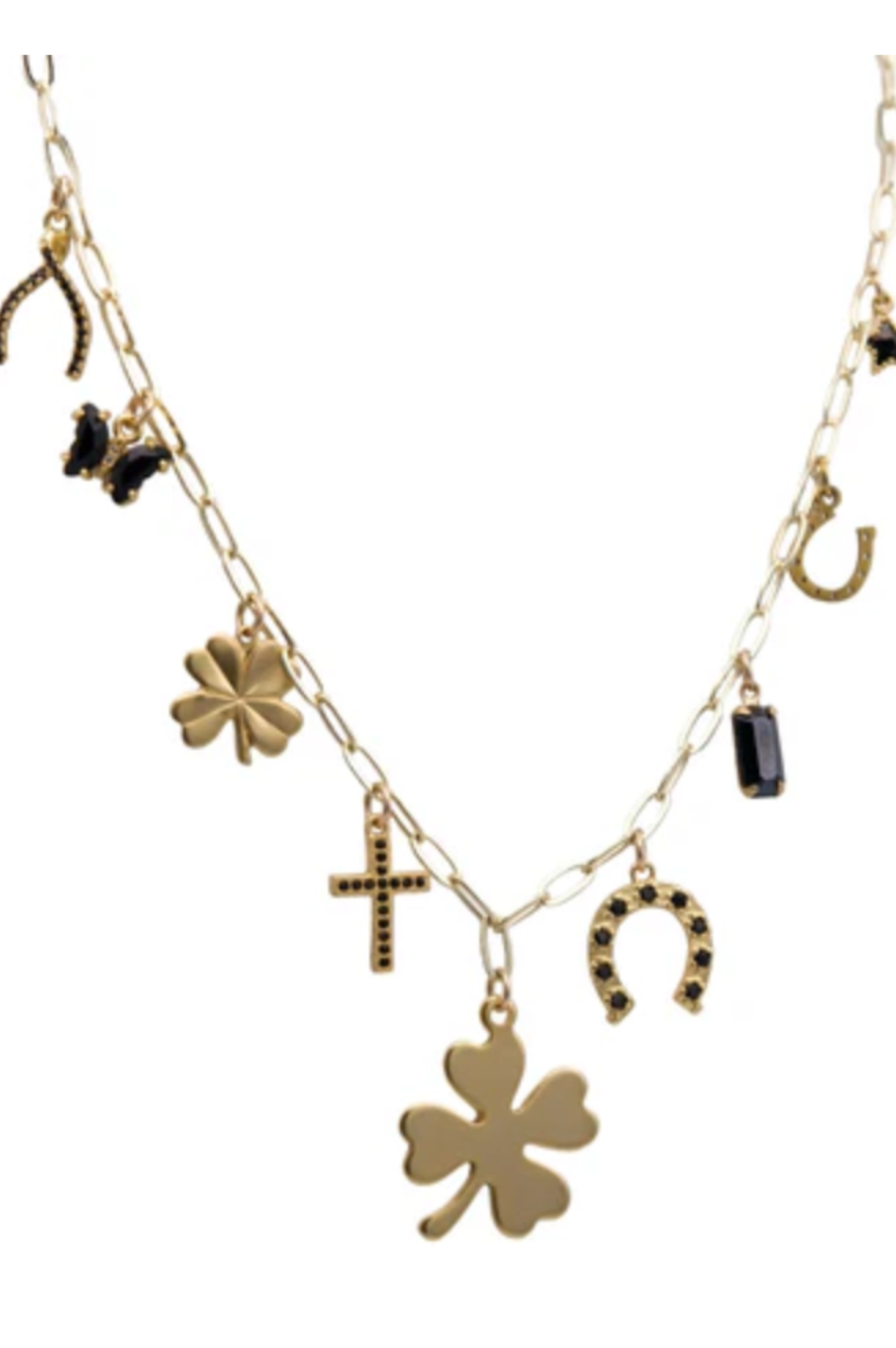 Lucky Curio Charm Necklace