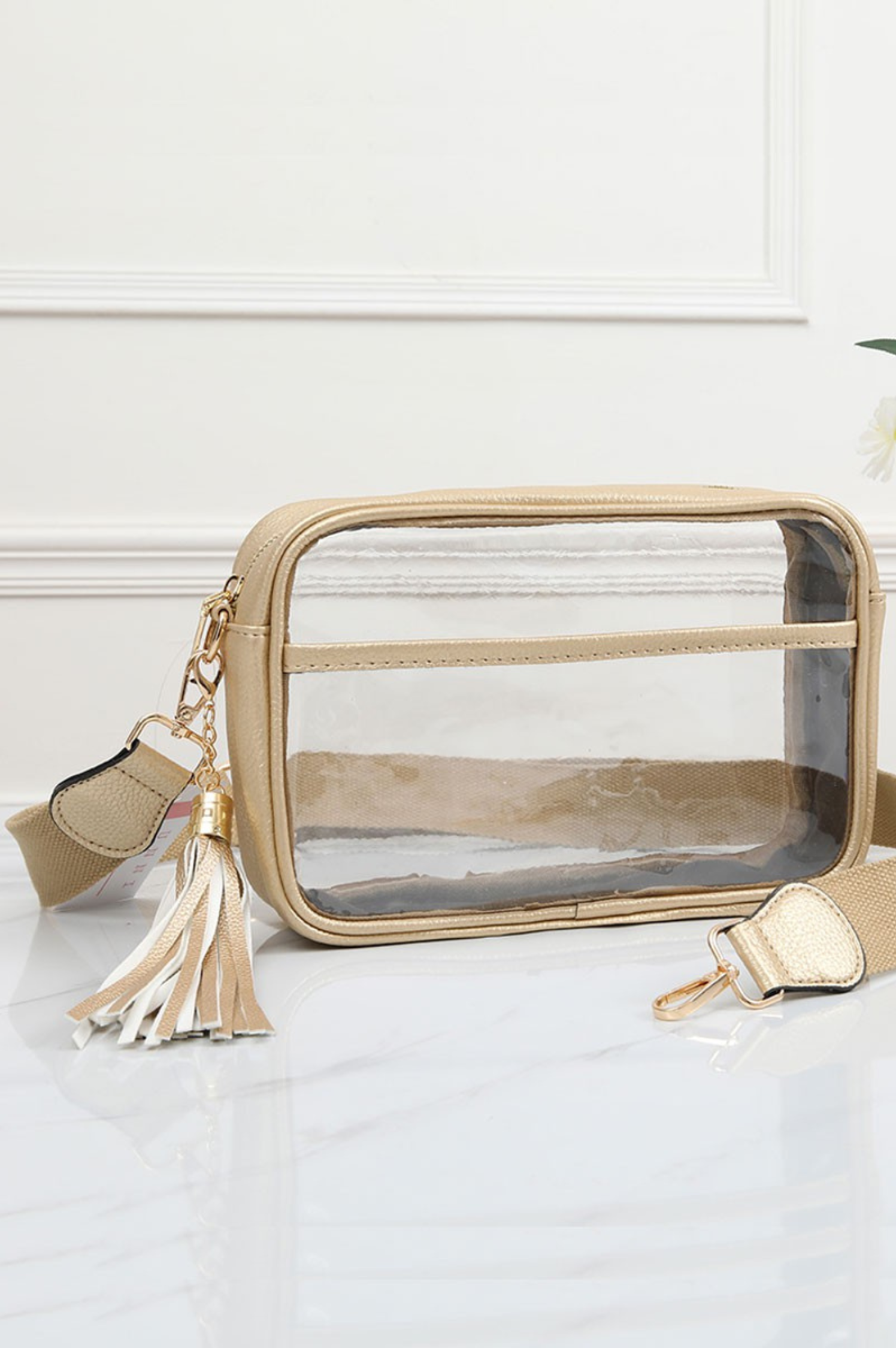 Madelyn Clear Crossbody Bag