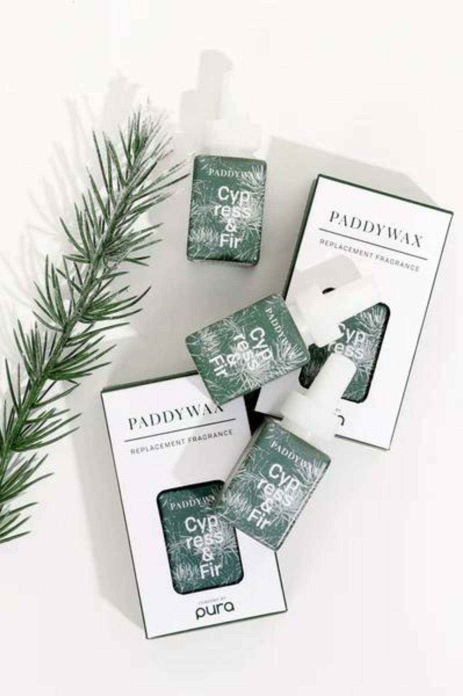 Paddywax - Cypress & Fir